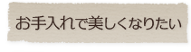 お手入れで美しくなりたい