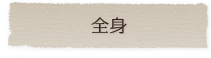 全身